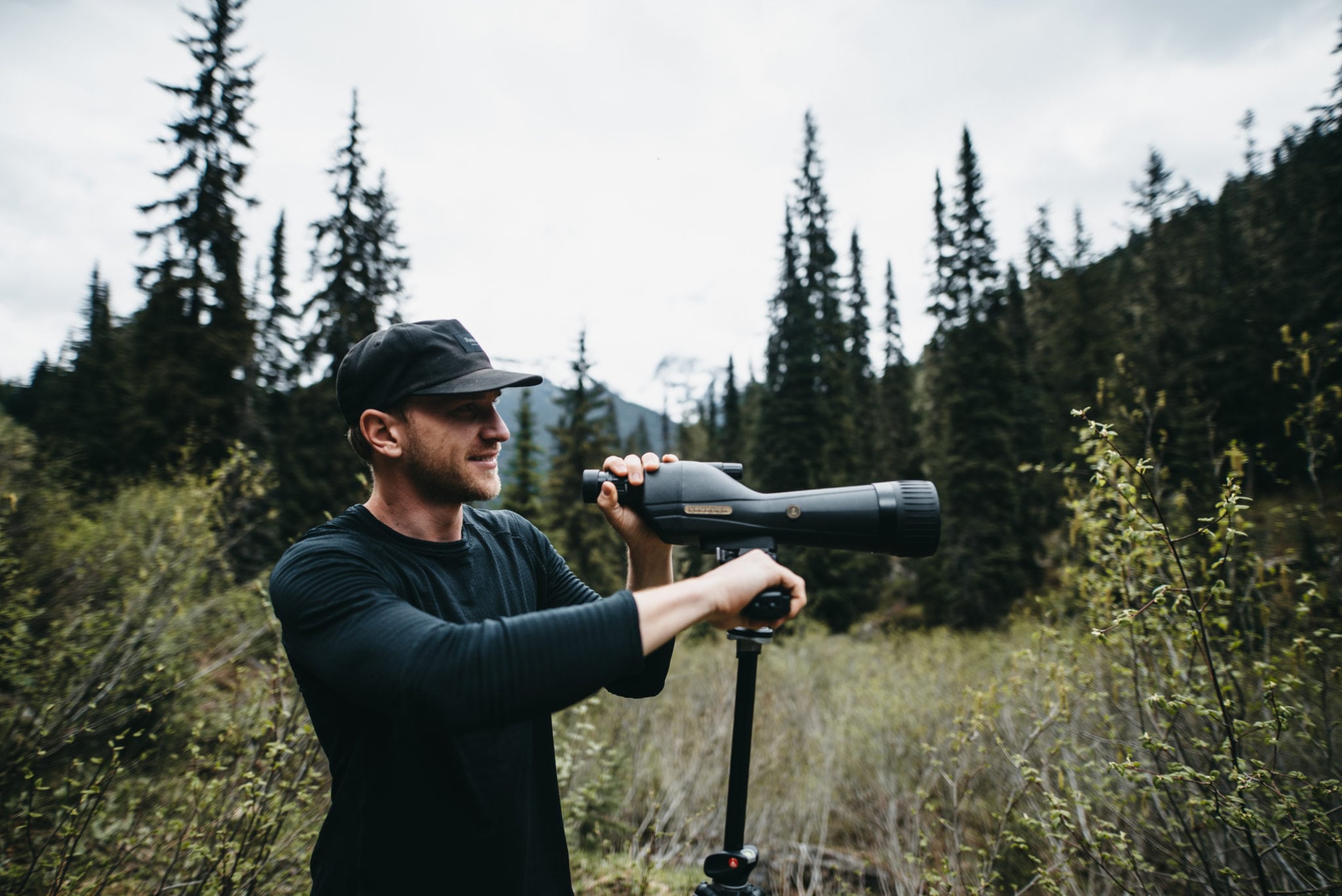 Viewing bears at Wild Bear Lodge
