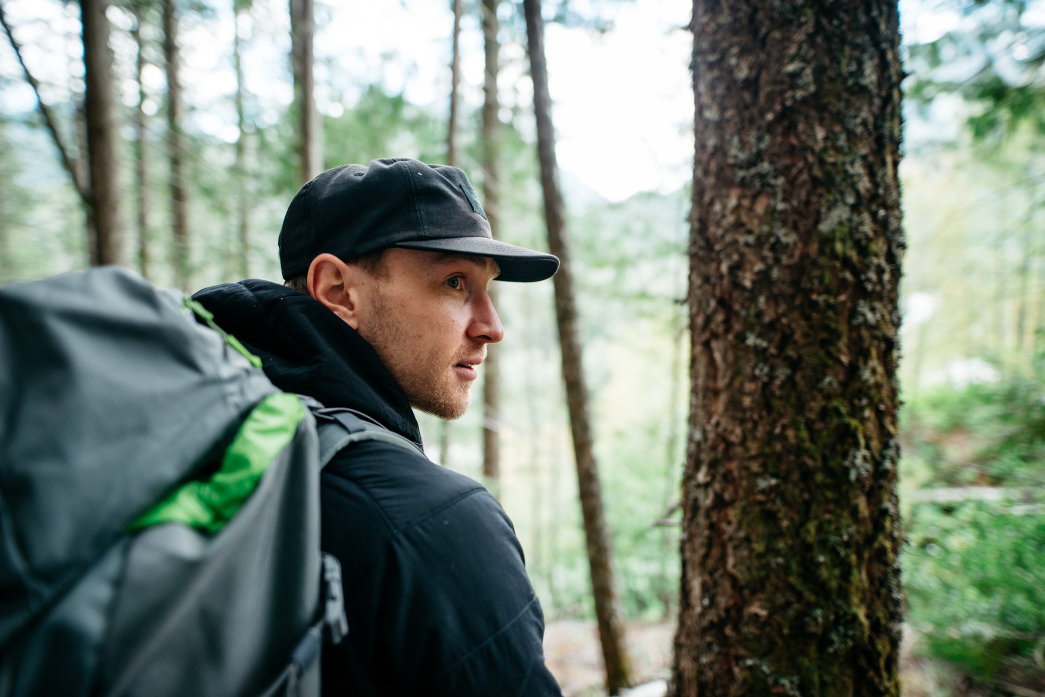 In the forest at Wild Bear Lodge